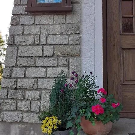 Guest house & Fewos Fuchs
